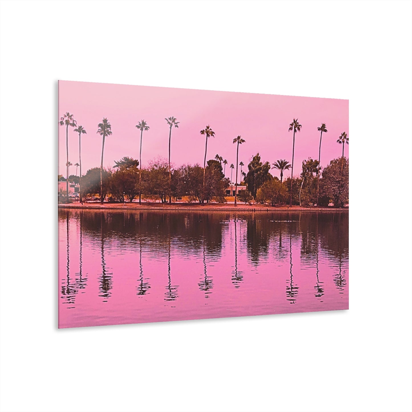 Scottsdale Reflection