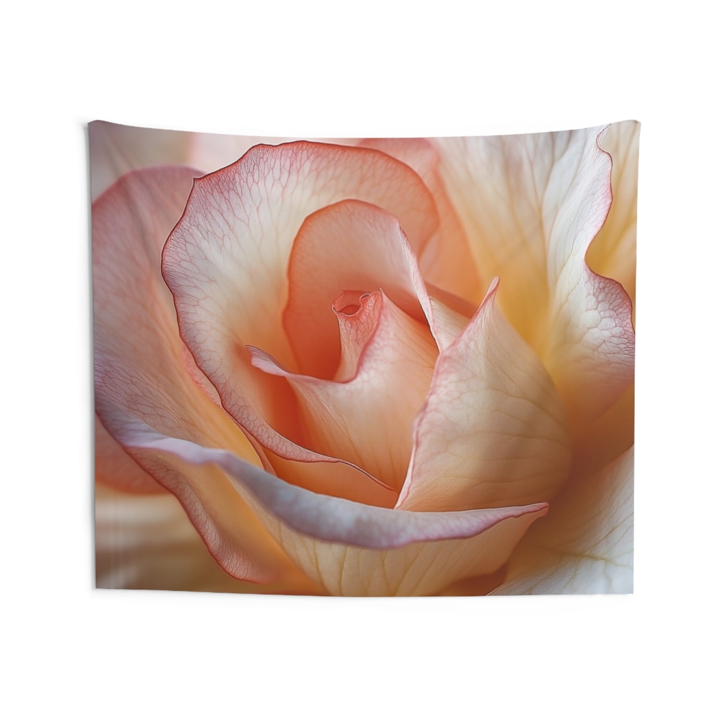 Peach Rose