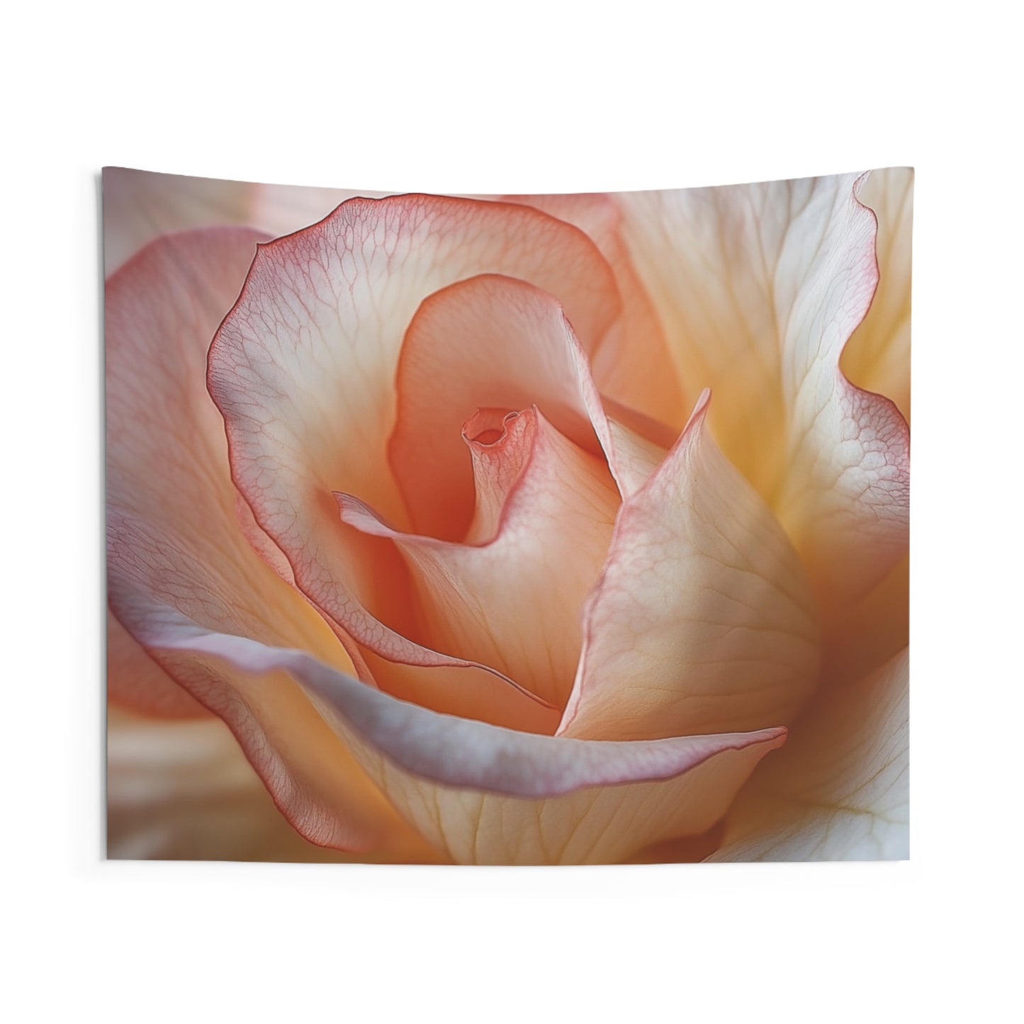 Peach Rose