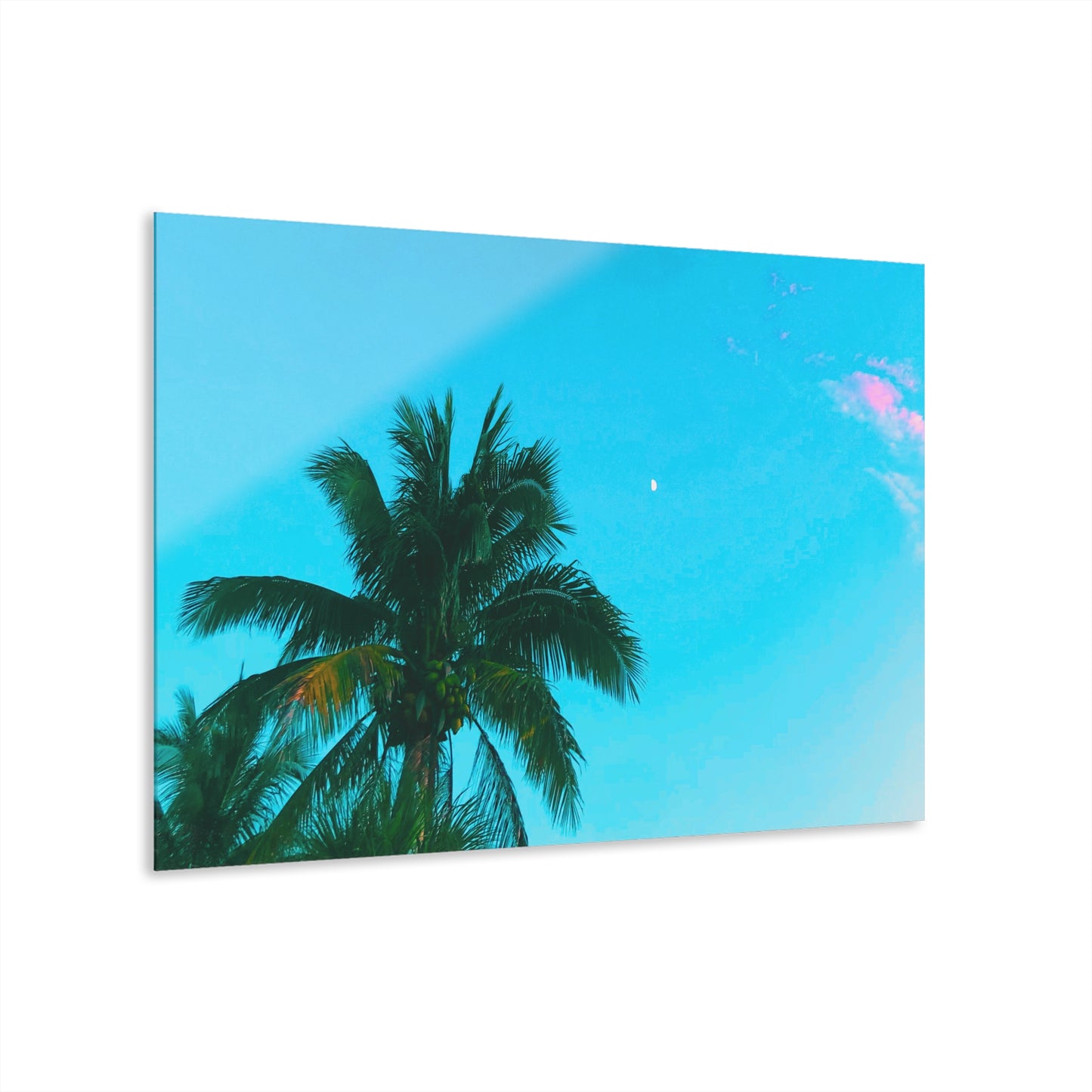 Miami Sky