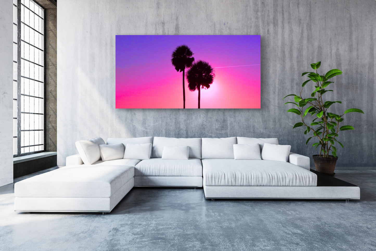 Palm Glow