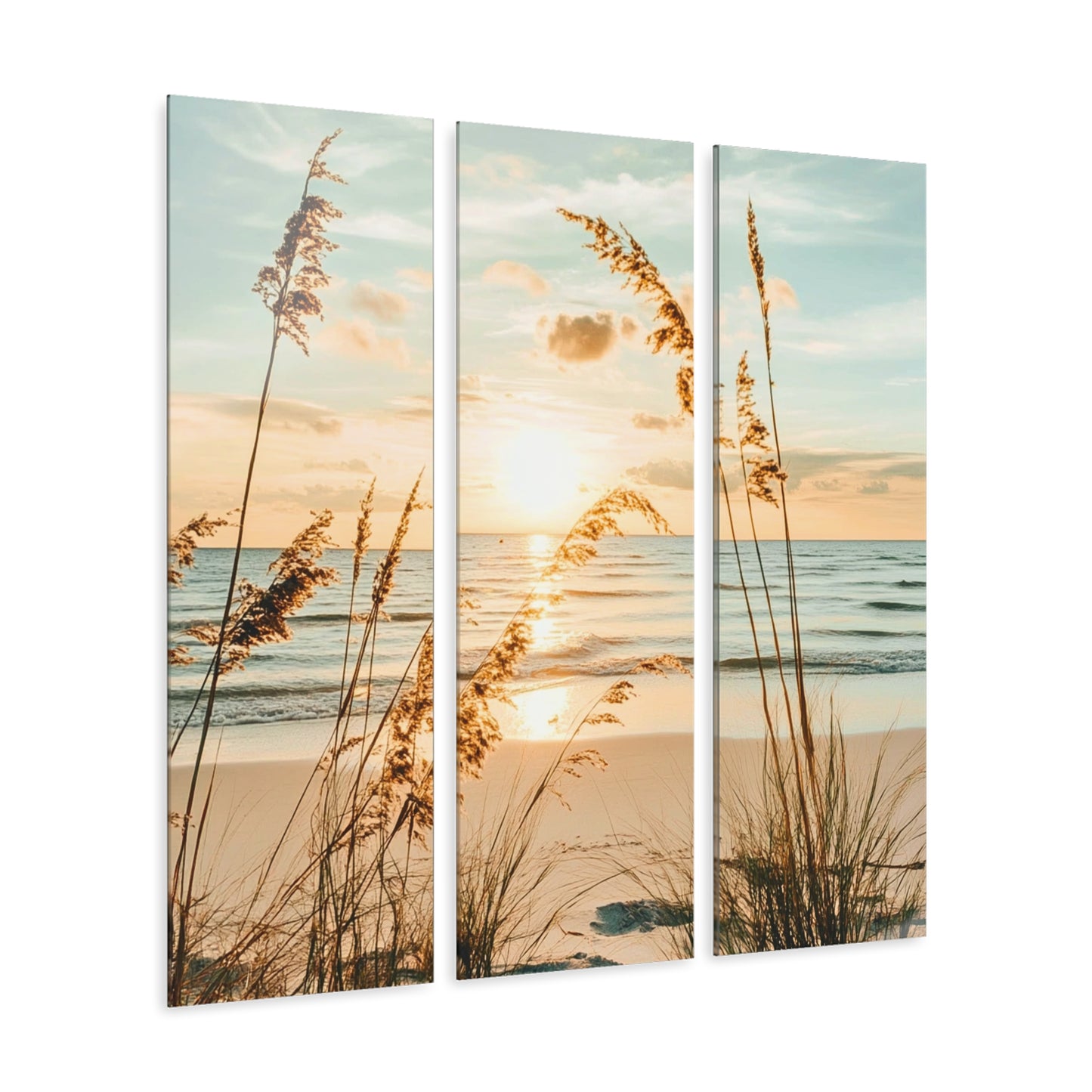 Beyond The Beach Grass