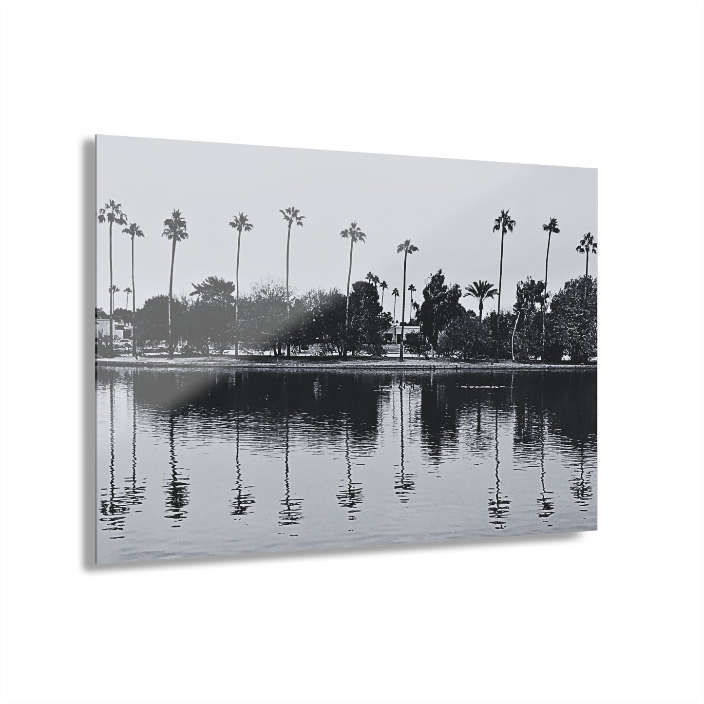 Scottsdale Reflection (II)