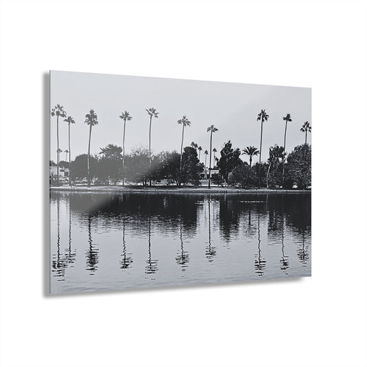 Scottsdale Reflection (II)