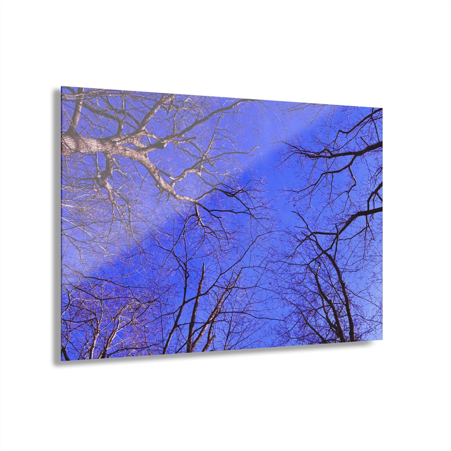 Periwinkle Sky