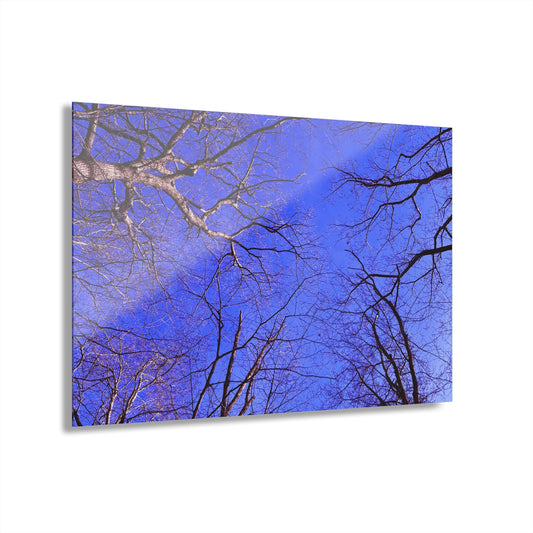 Periwinkle Sky