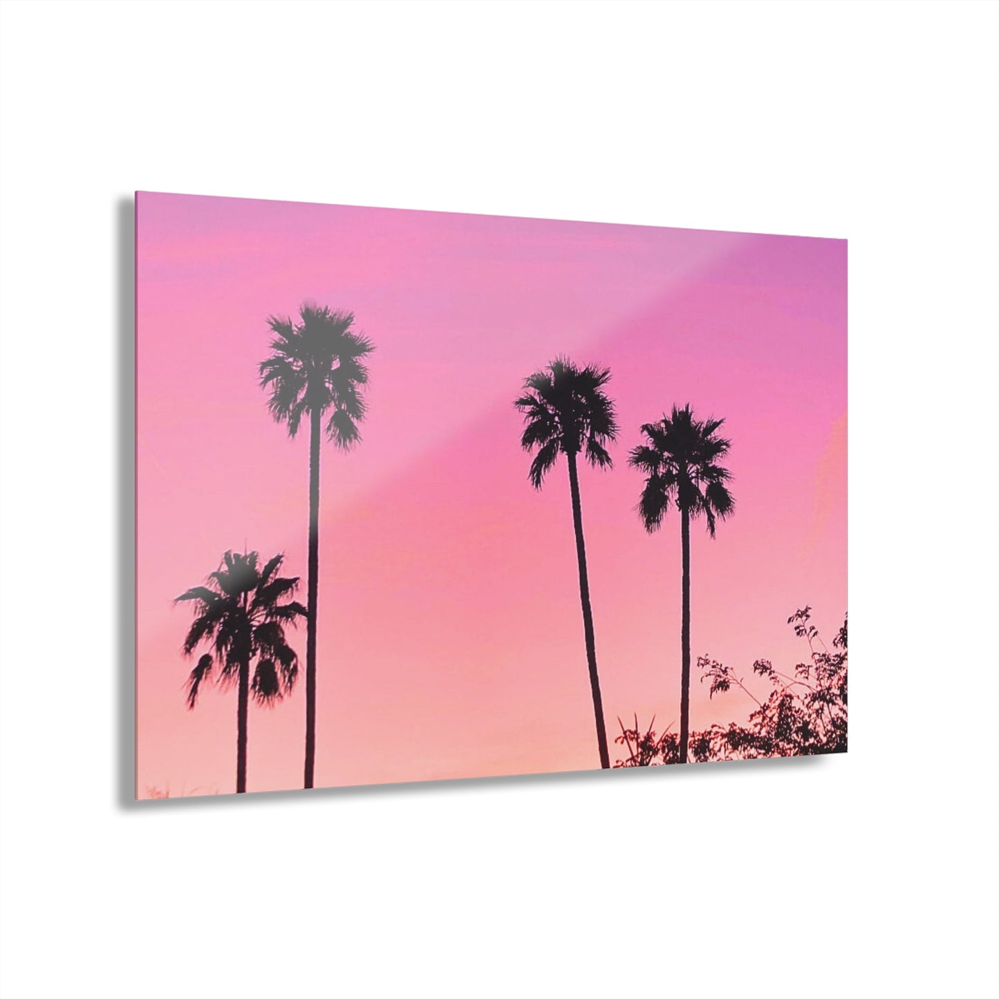 Starla Palms