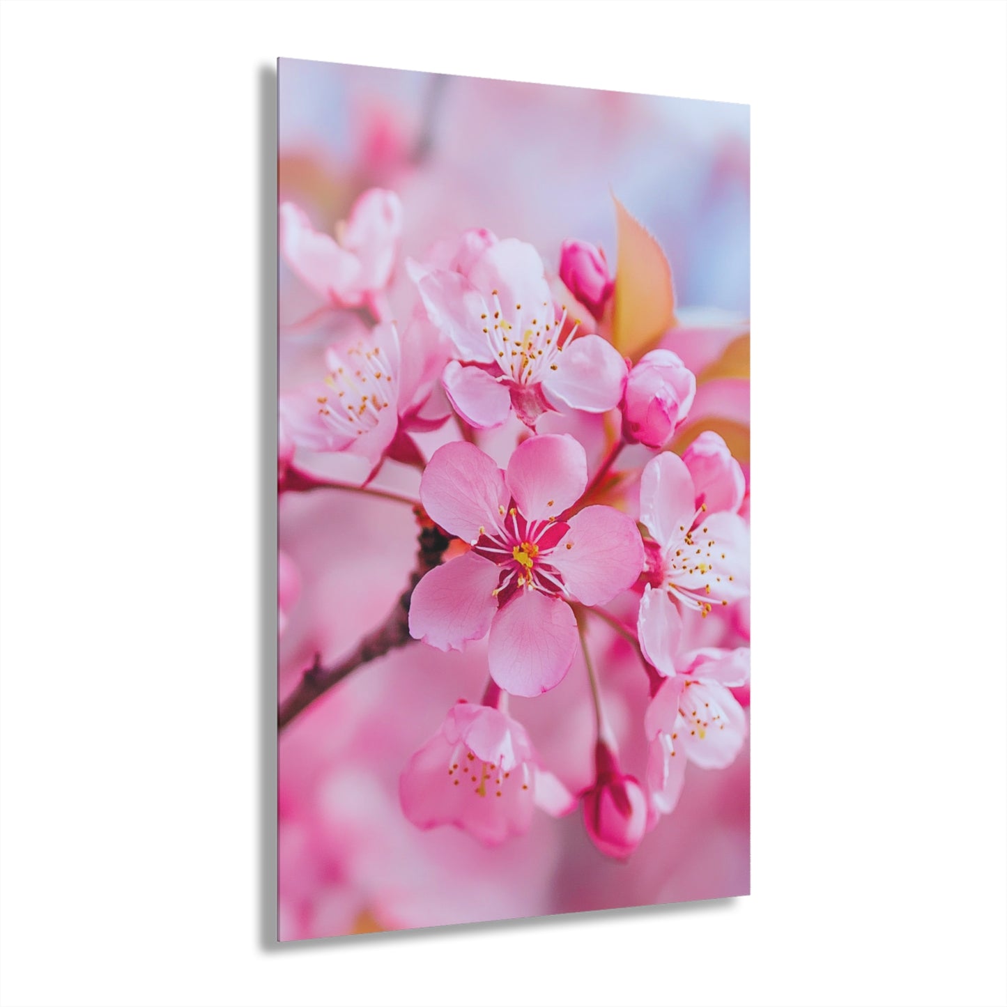 April Blossom
