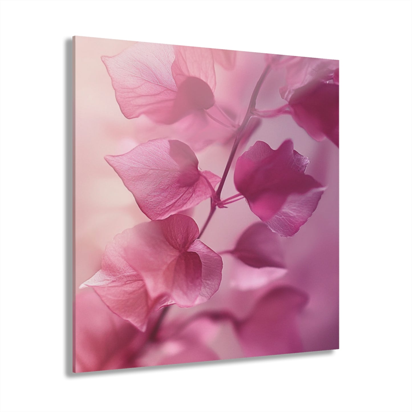 Aviva Pink
