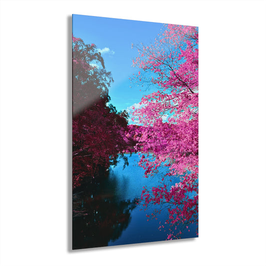 Spring Bloom