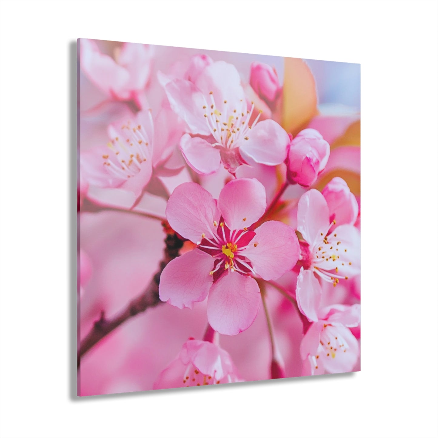 April Blossom