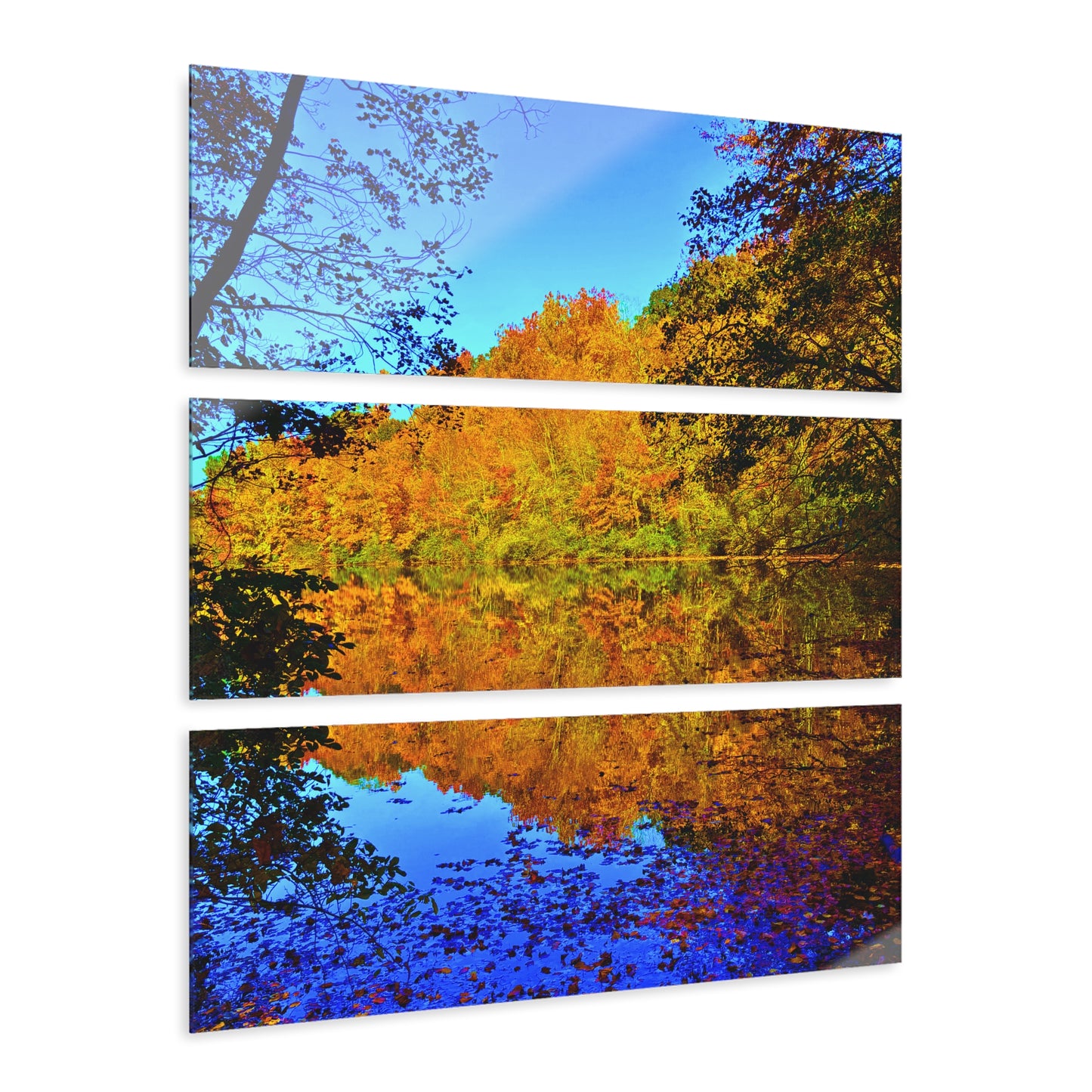 Autumn Reflection (III)
