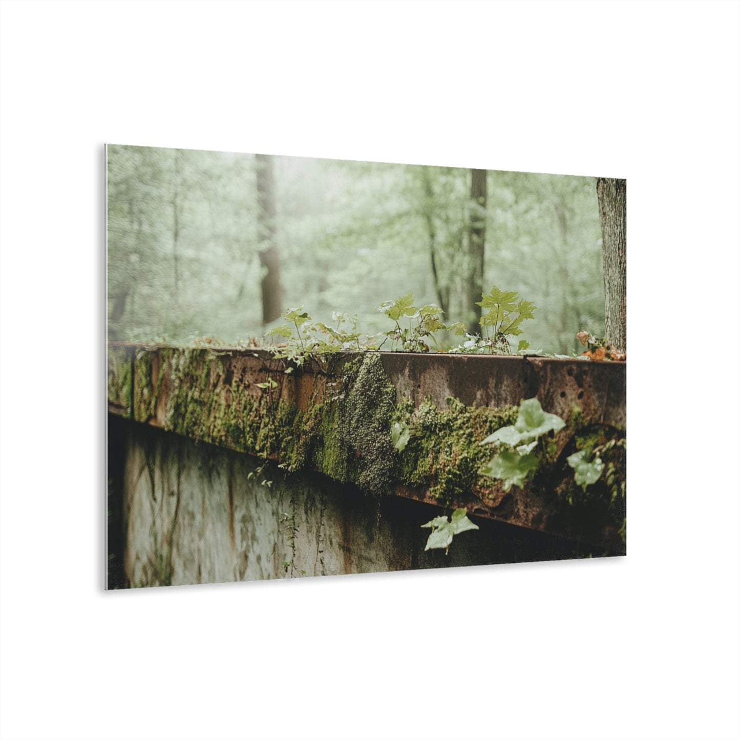 Greenery Glimpse