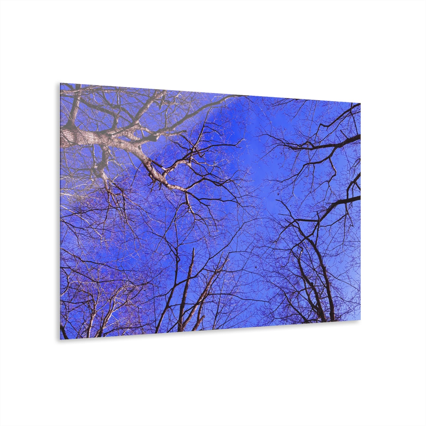 Periwinkle Sky