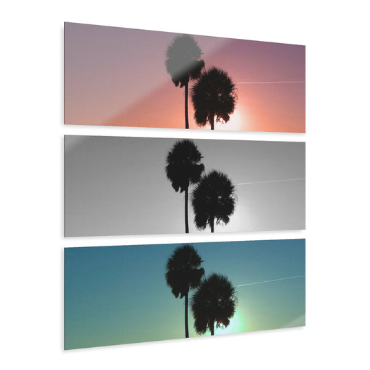 Palm Glow (II)