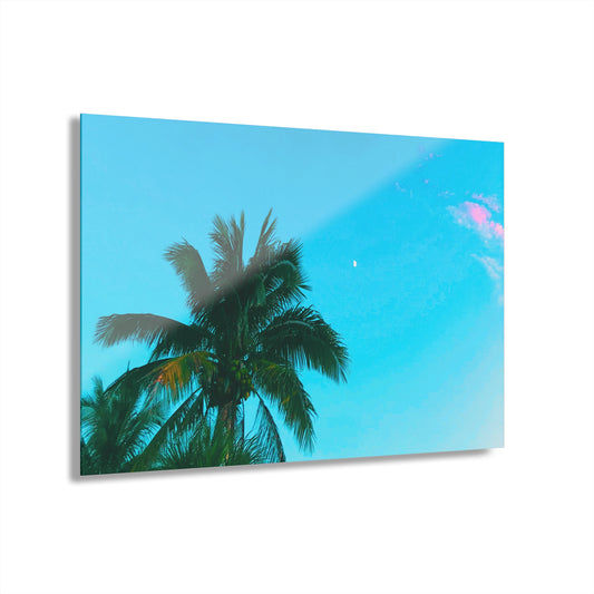 Miami Sky