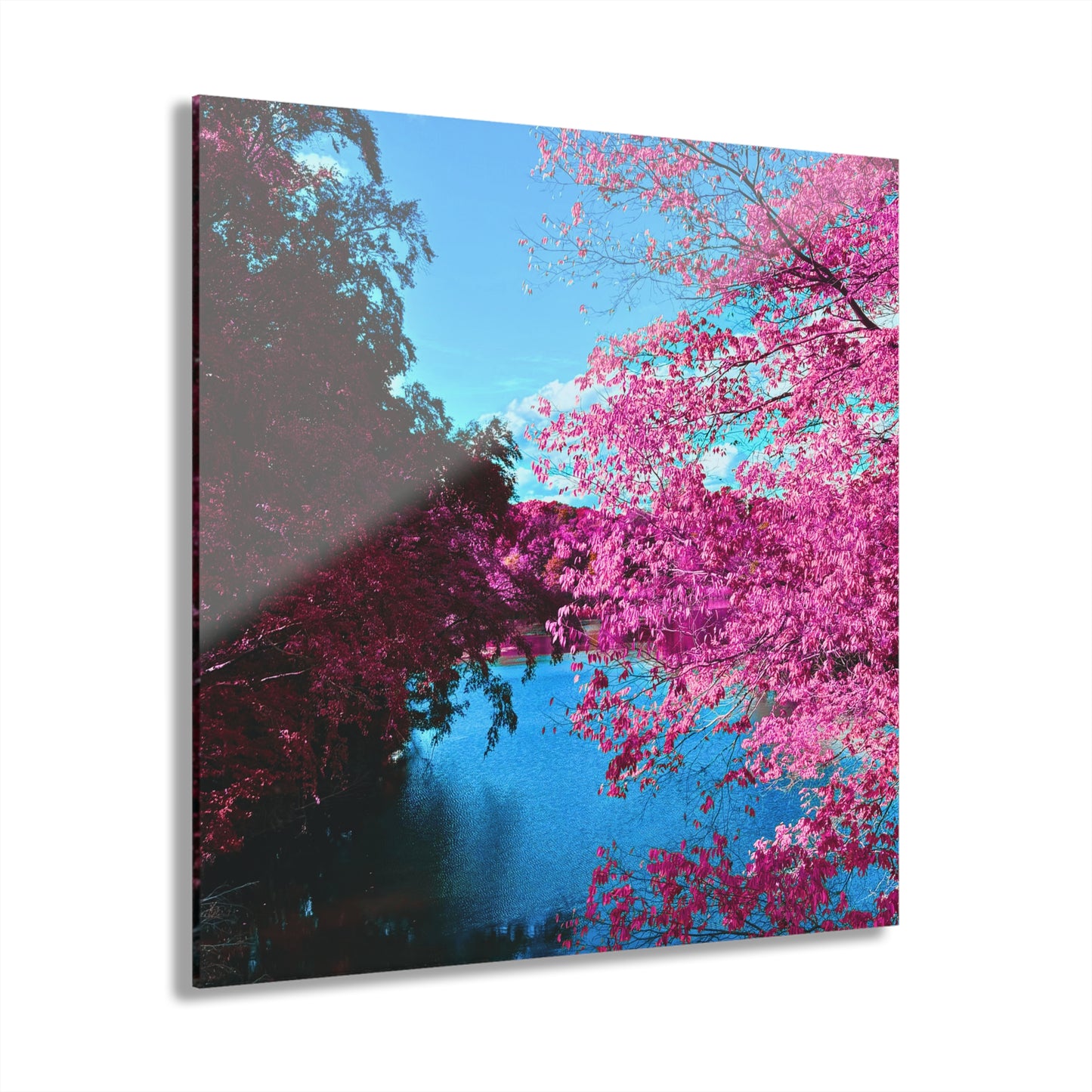 Spring Bloom