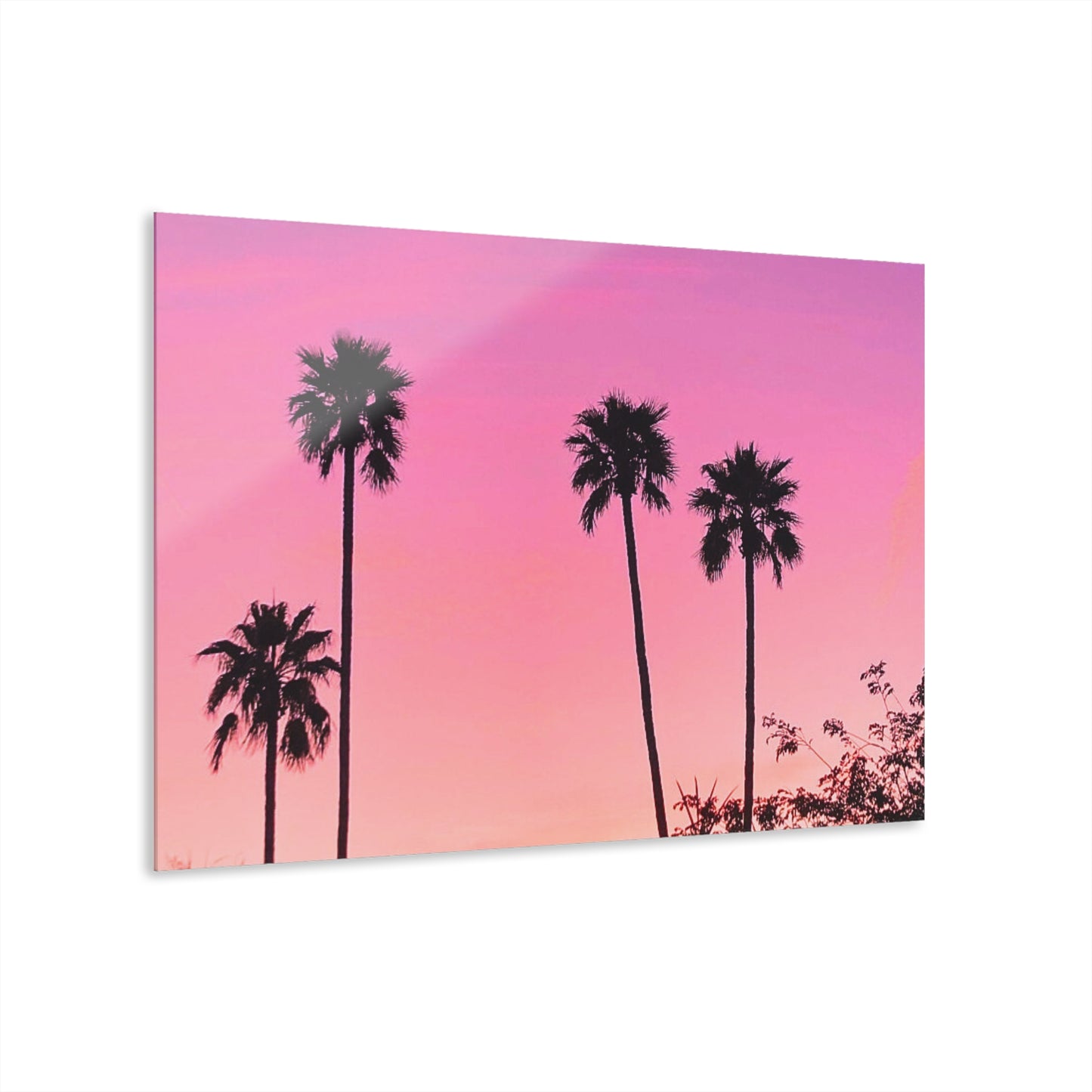 Starla Palms