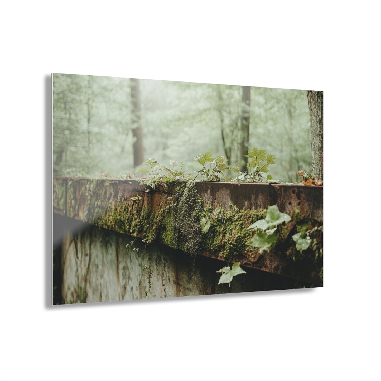Greenery Glimpse